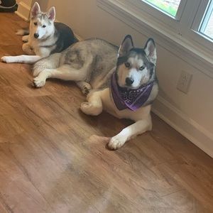 Meet your Posher, Emily